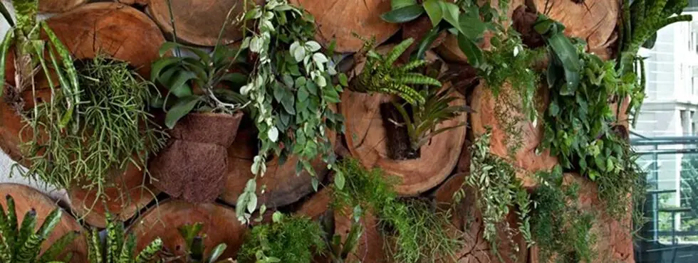 Peças para paisagismo de eucalipto tratado